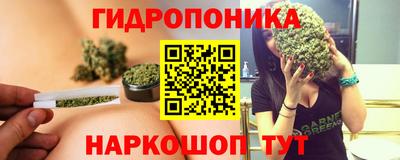 спайс Аргун