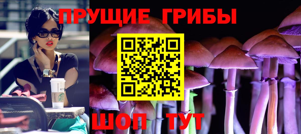 Галлюциногенные грибы Psilocybe  Вход с VPN  Боровичи  Псилоцибиновые грибы MAGIC MUSHROOMS 